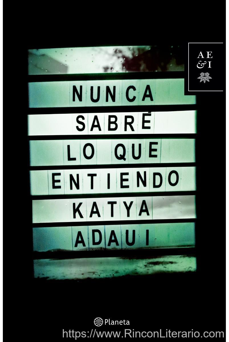 Nunca sabré lo que entiendo