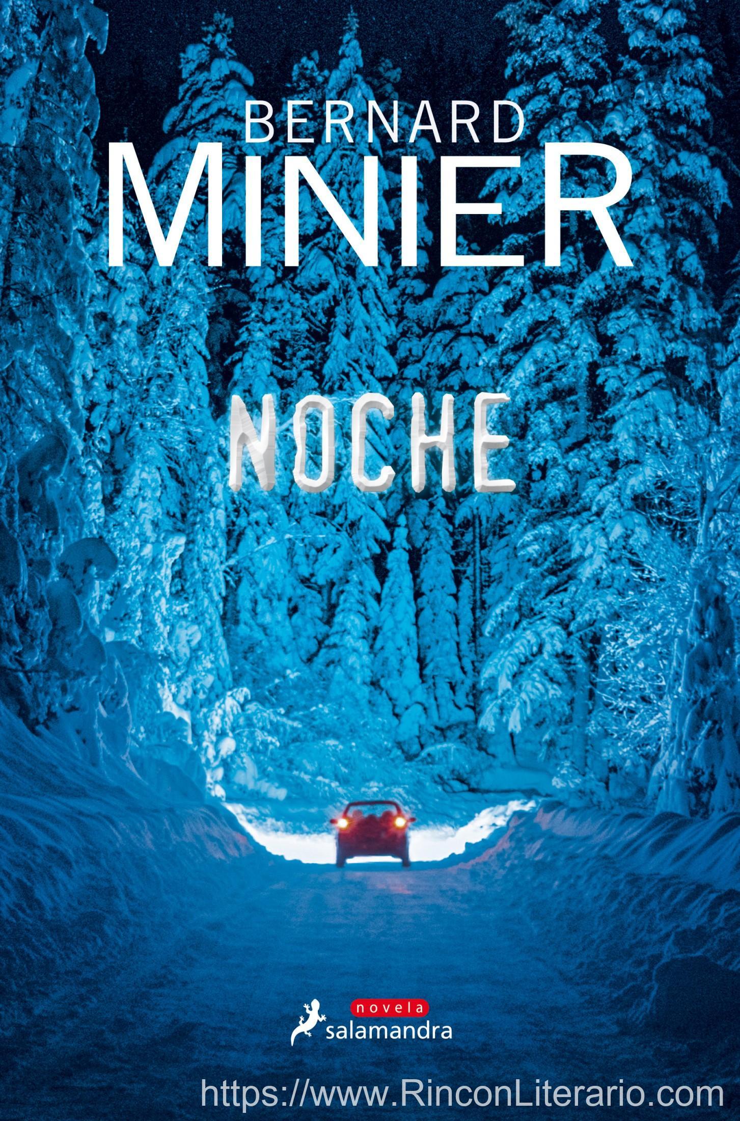 Noche (Comandante Servaz 4)