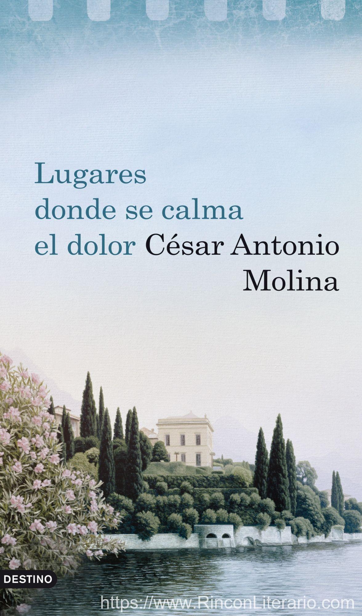 Lugares donde se calma el dolor