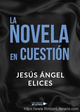 La Novela en Cuestión