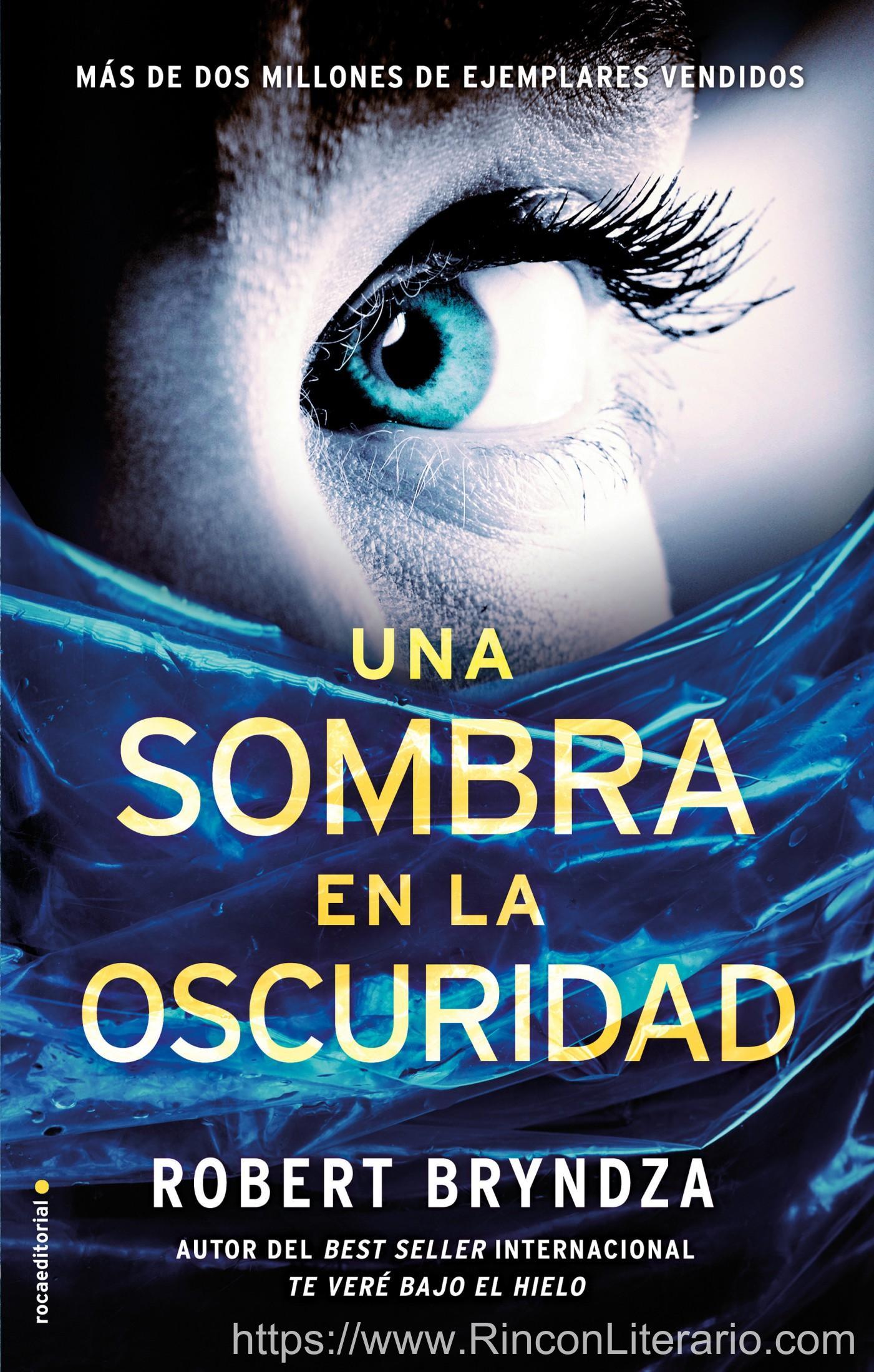 Una sombra en la oscuridad (Serie Erika Foster 2)