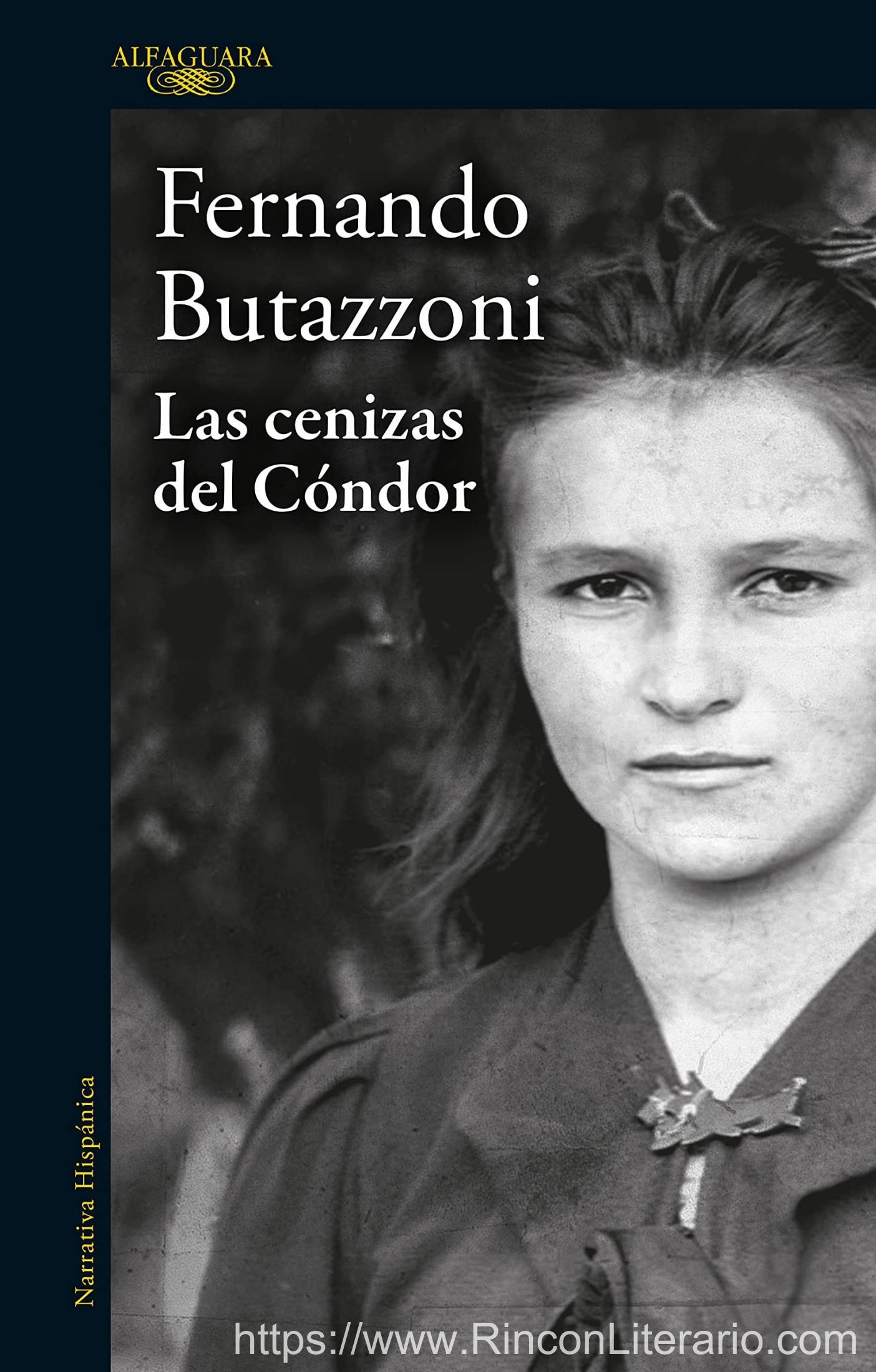 Las cenizas del condor