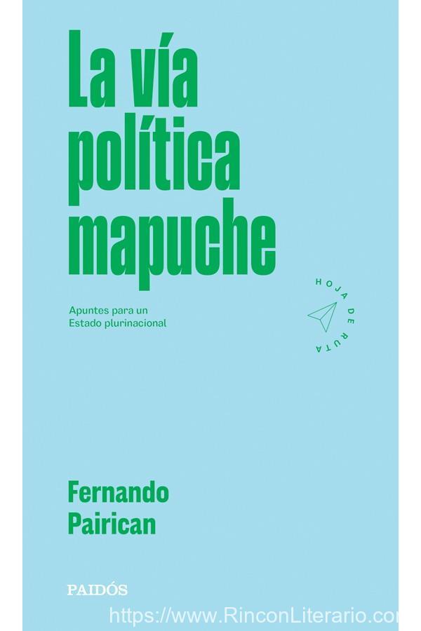 La vía política mapuche