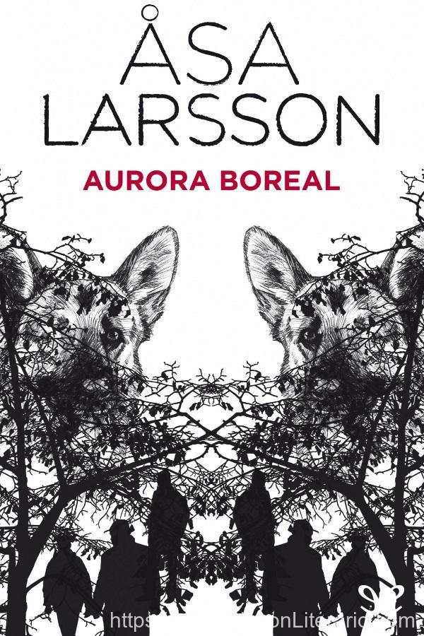 Aurora boreal