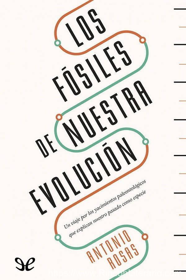 Los fósiles de nuestra evolución