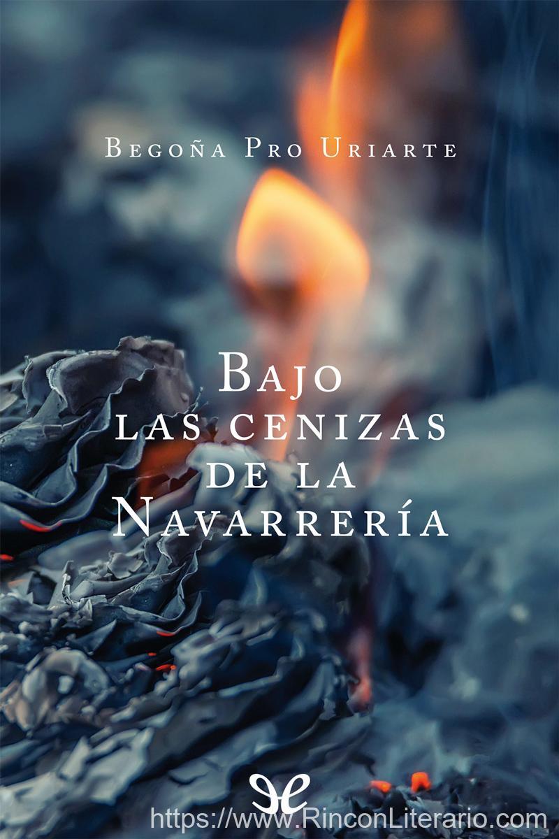 Bajo las cenizas de la Navarrería