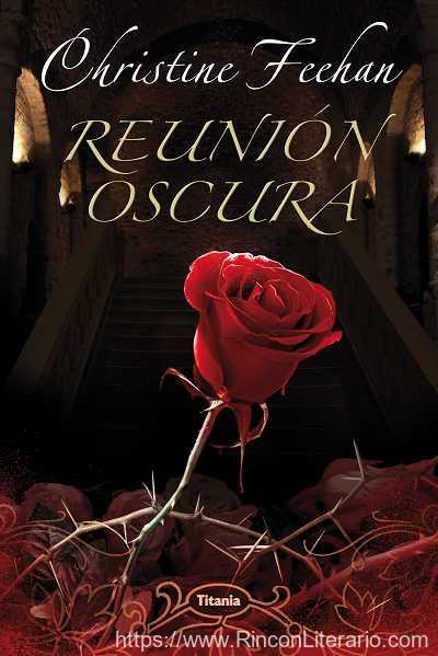 Reunión oscura
