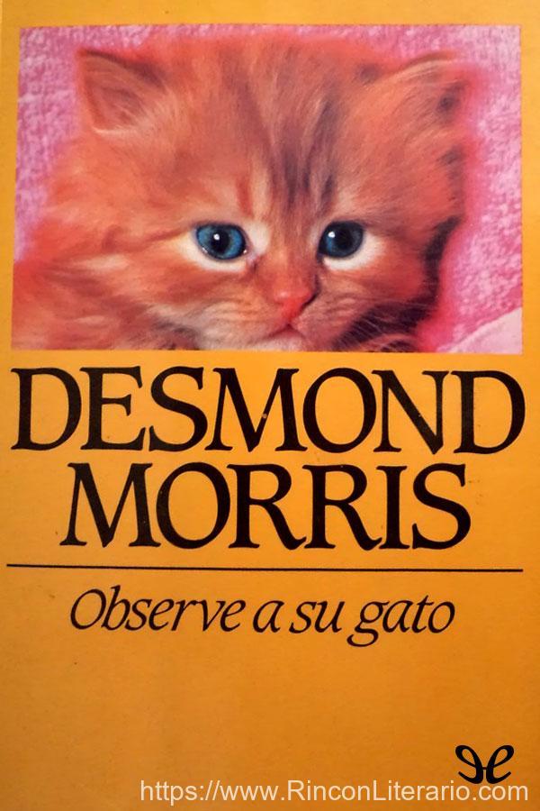 Observe a su gato