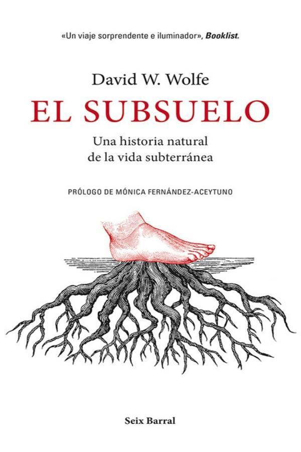 El subsuelo