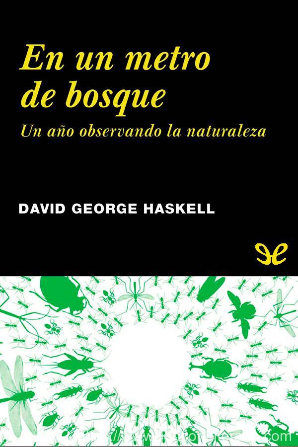 En un metro de bosque