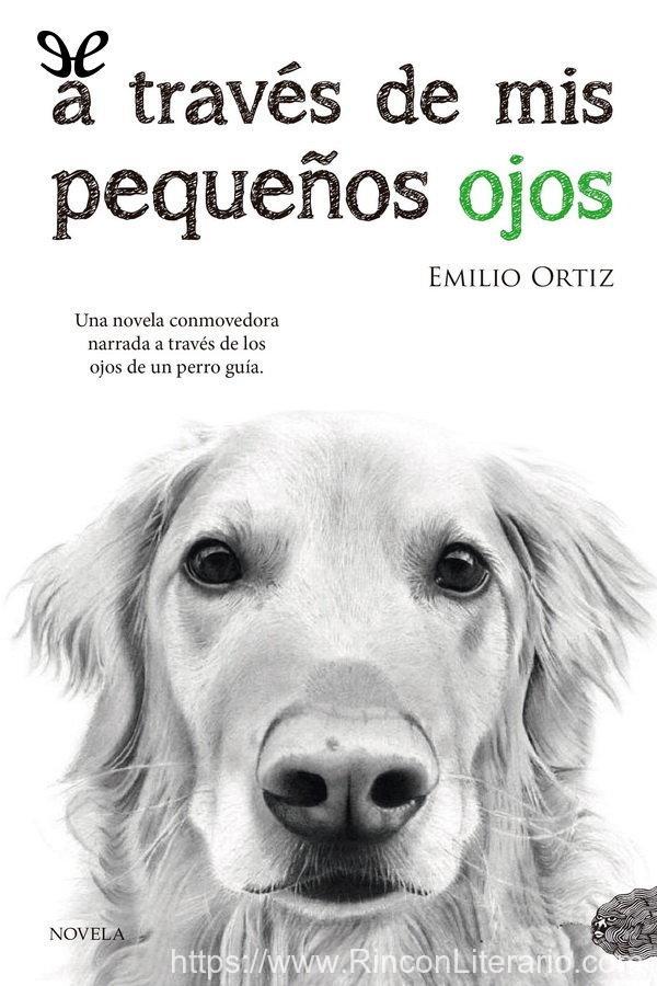 A través de mis pequeños ojos