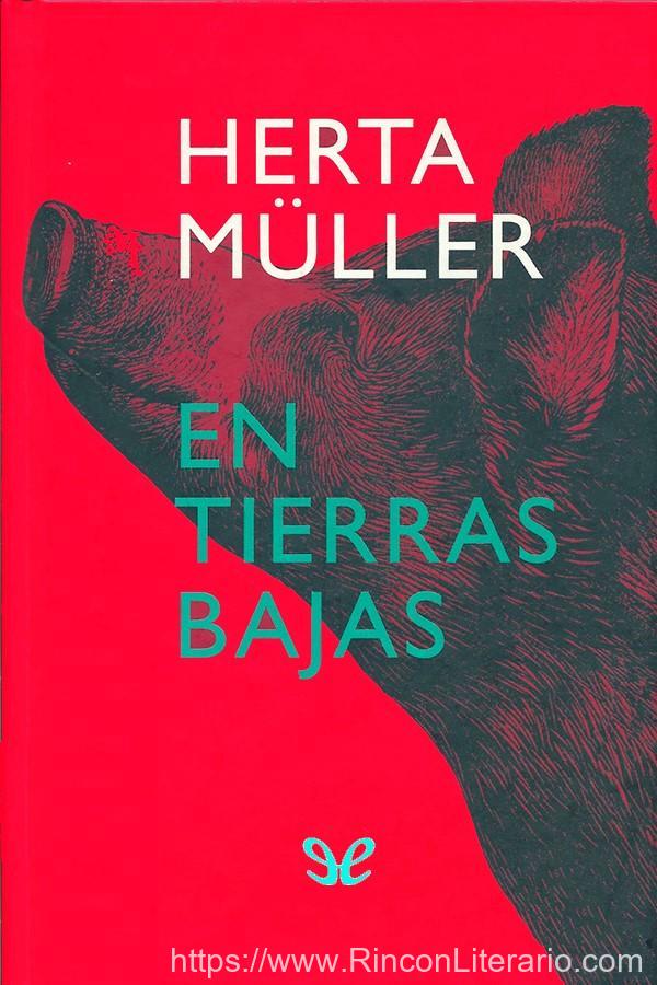 En tierras bajas