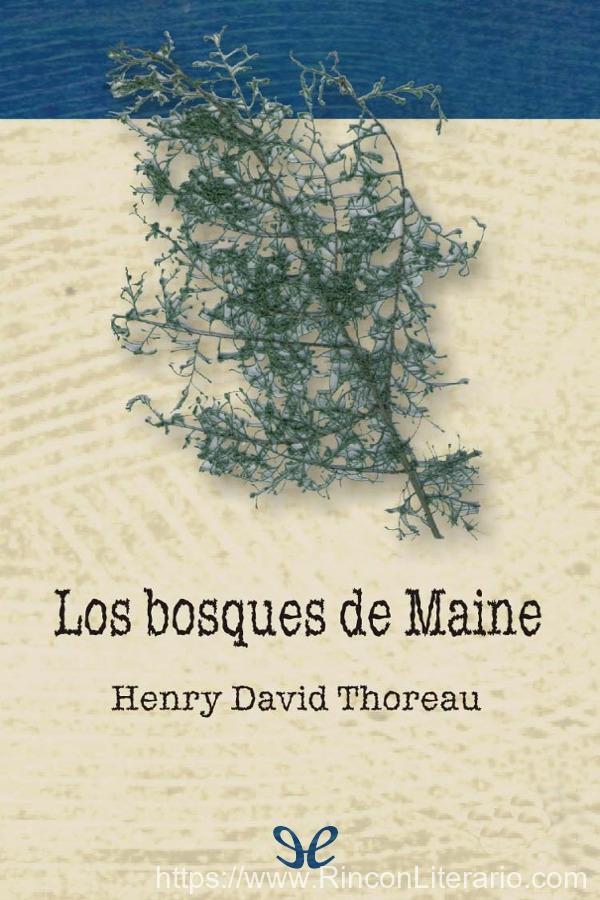 Los bosques de Maine