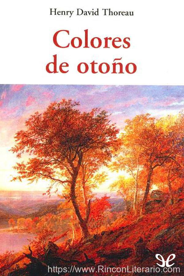 Colores de otoño