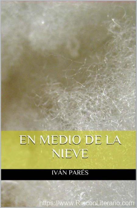 En medio de la nieve