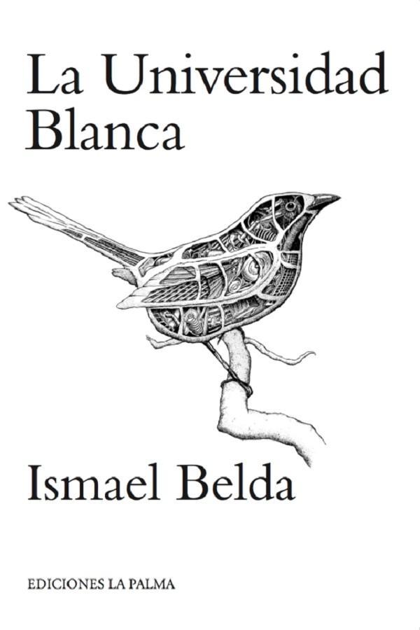 La universidad blanca