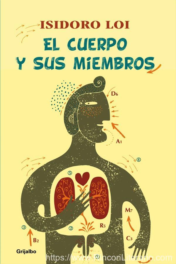 El cuerpo y sus miembros
