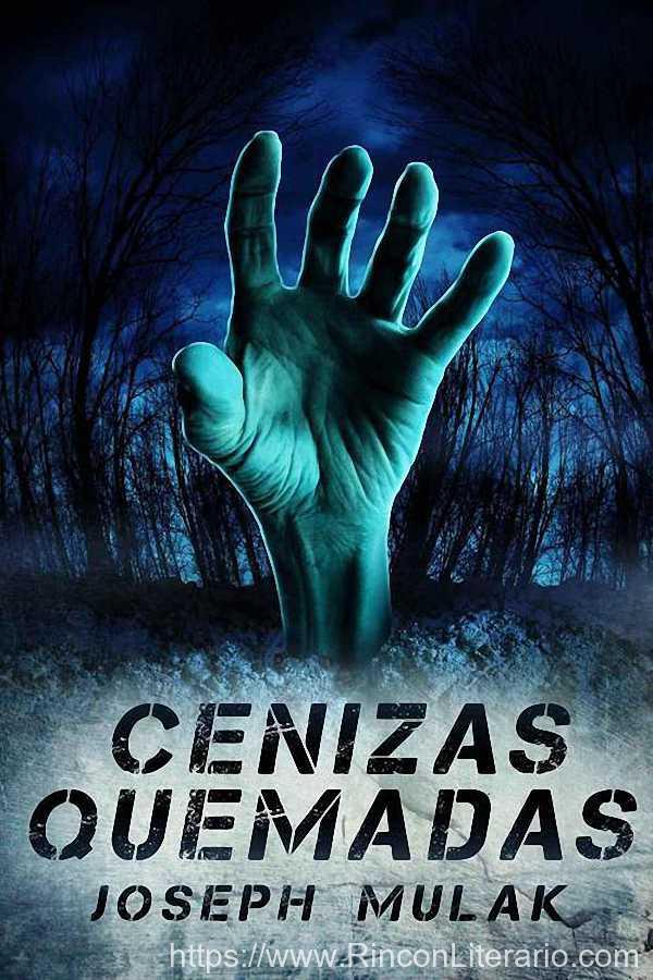 Cenizas quemadas