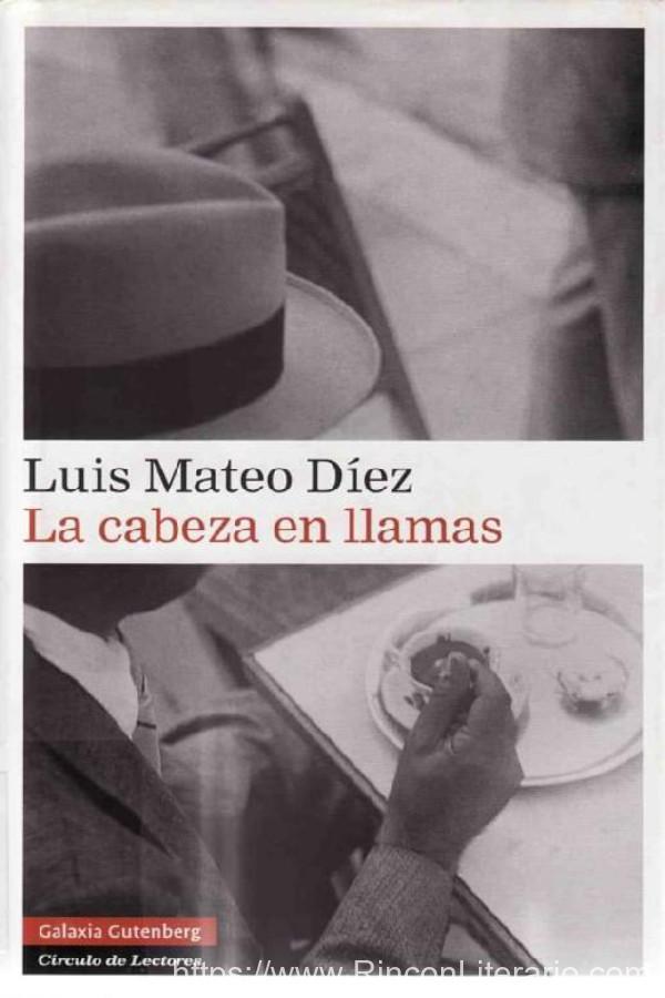 La cabeza en llamas