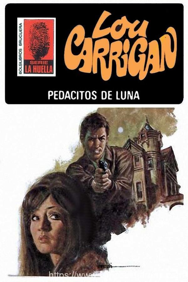 Pedacitos de luna