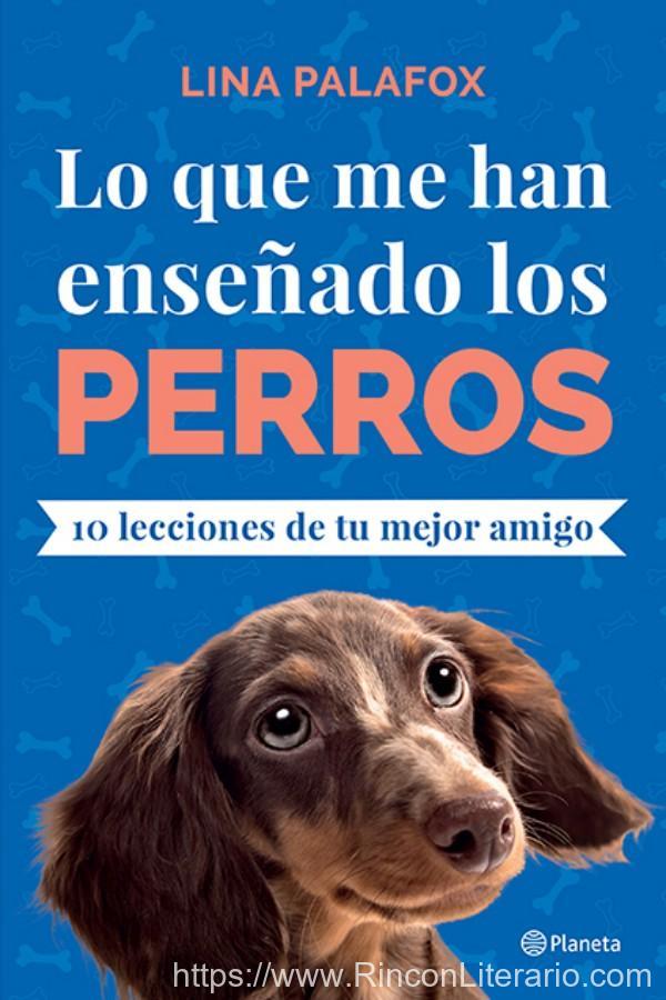 Lo que me han enseñado los perros