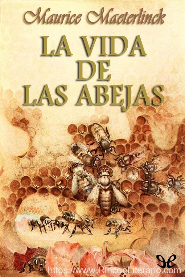 La vida de las abejas