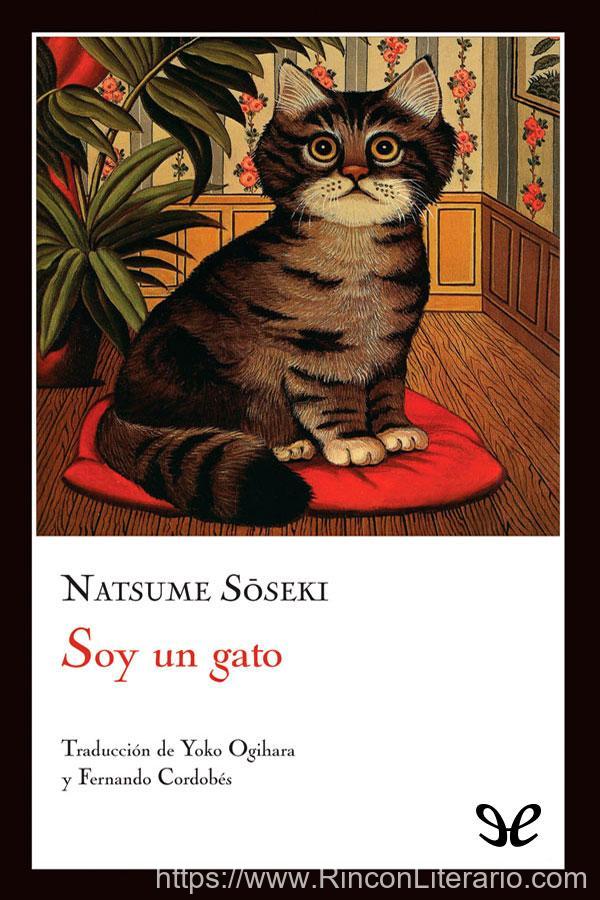 Soy un gato