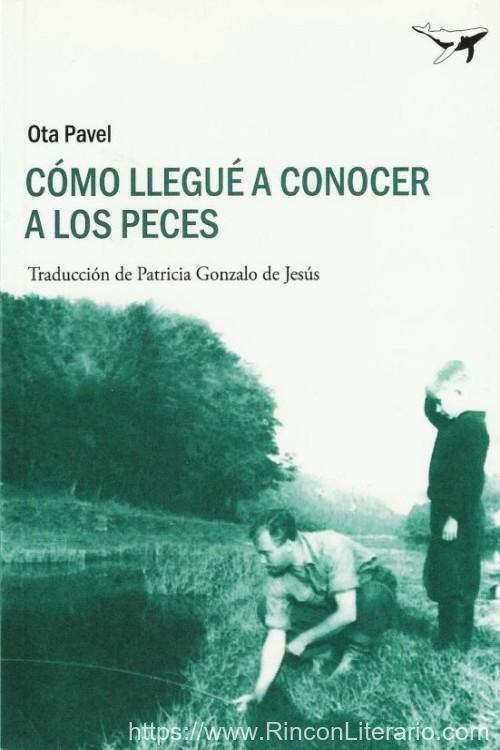 Cómo llegué a conocer a los peces