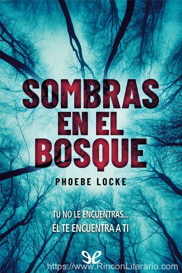 Sombras en el bosque