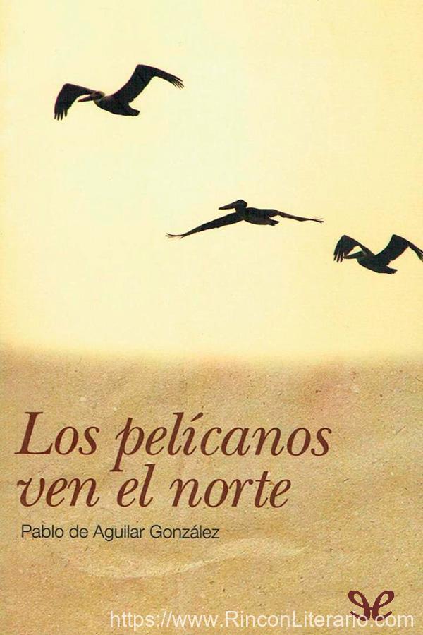 Los pelícanos ven el norte