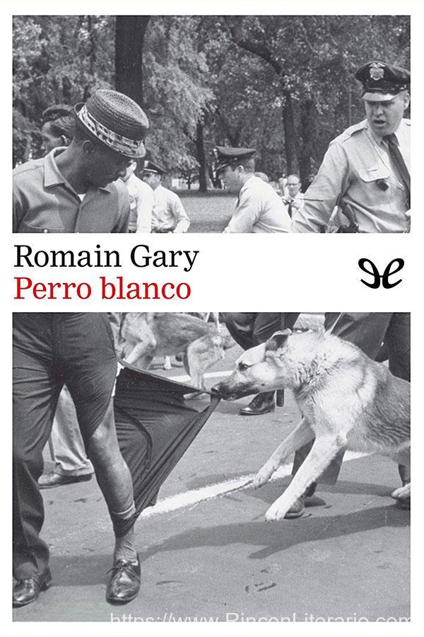 Perro blanco