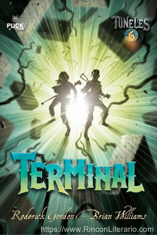 Terminal