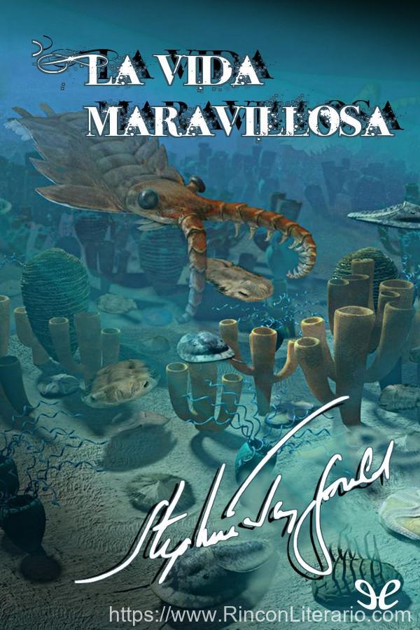 La vida maravillosa