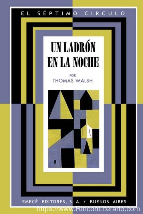 Un ladrón en la noche