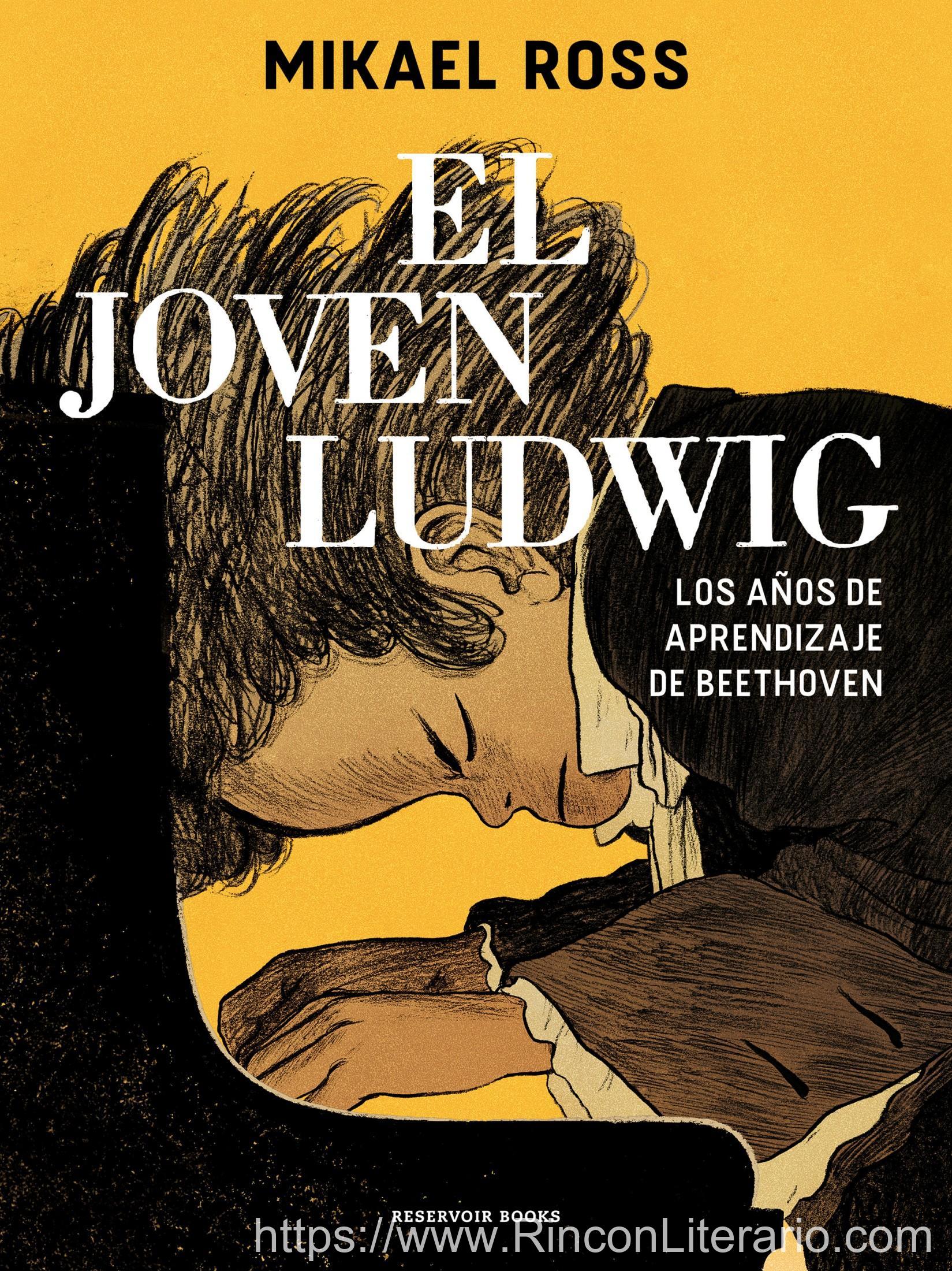El joven Ludwig: Los años de aprendizaje de Beethoven
