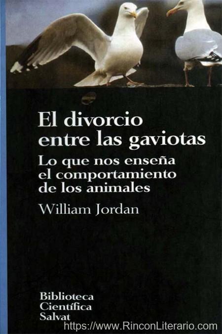 El divorcio entre las gaviotas