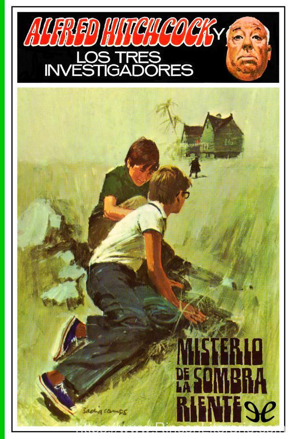 Misterio de la sombra riente
