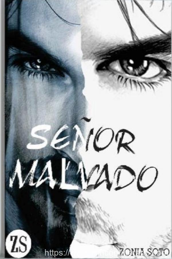Señor Malvado
