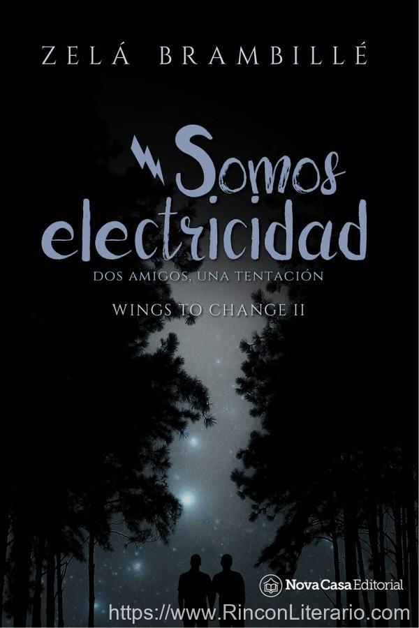 Somos electricidad