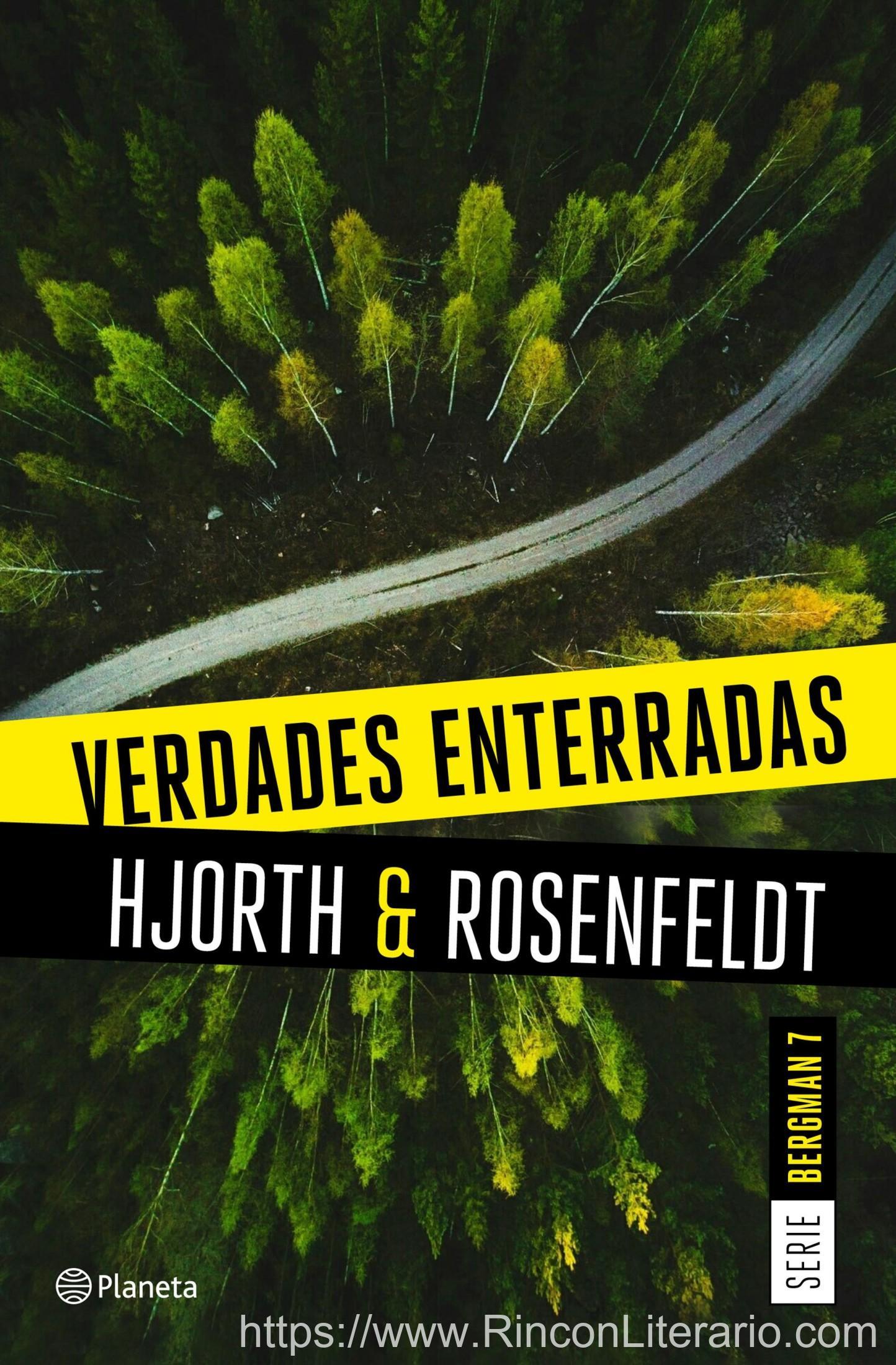 Verdades enterradas (Serie Bergman 7)