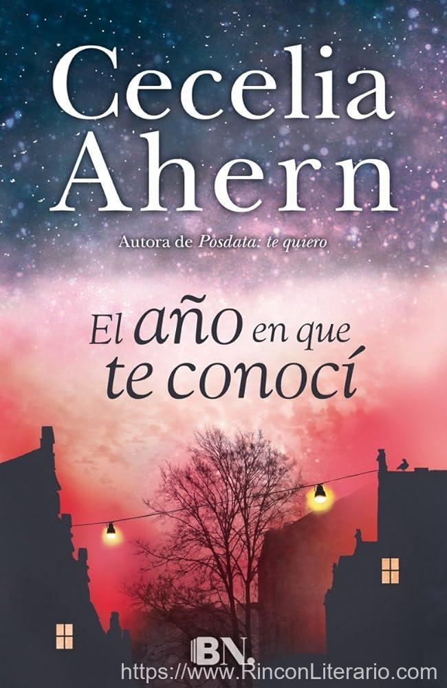 El año en que te conocí