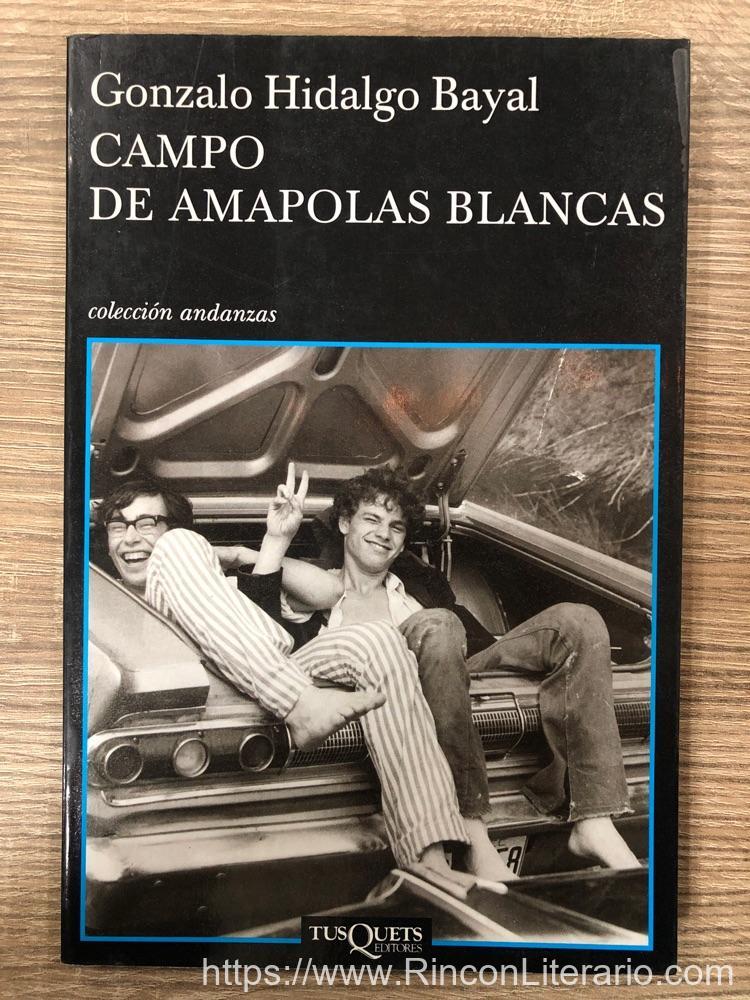 Campo de amapolas blancas