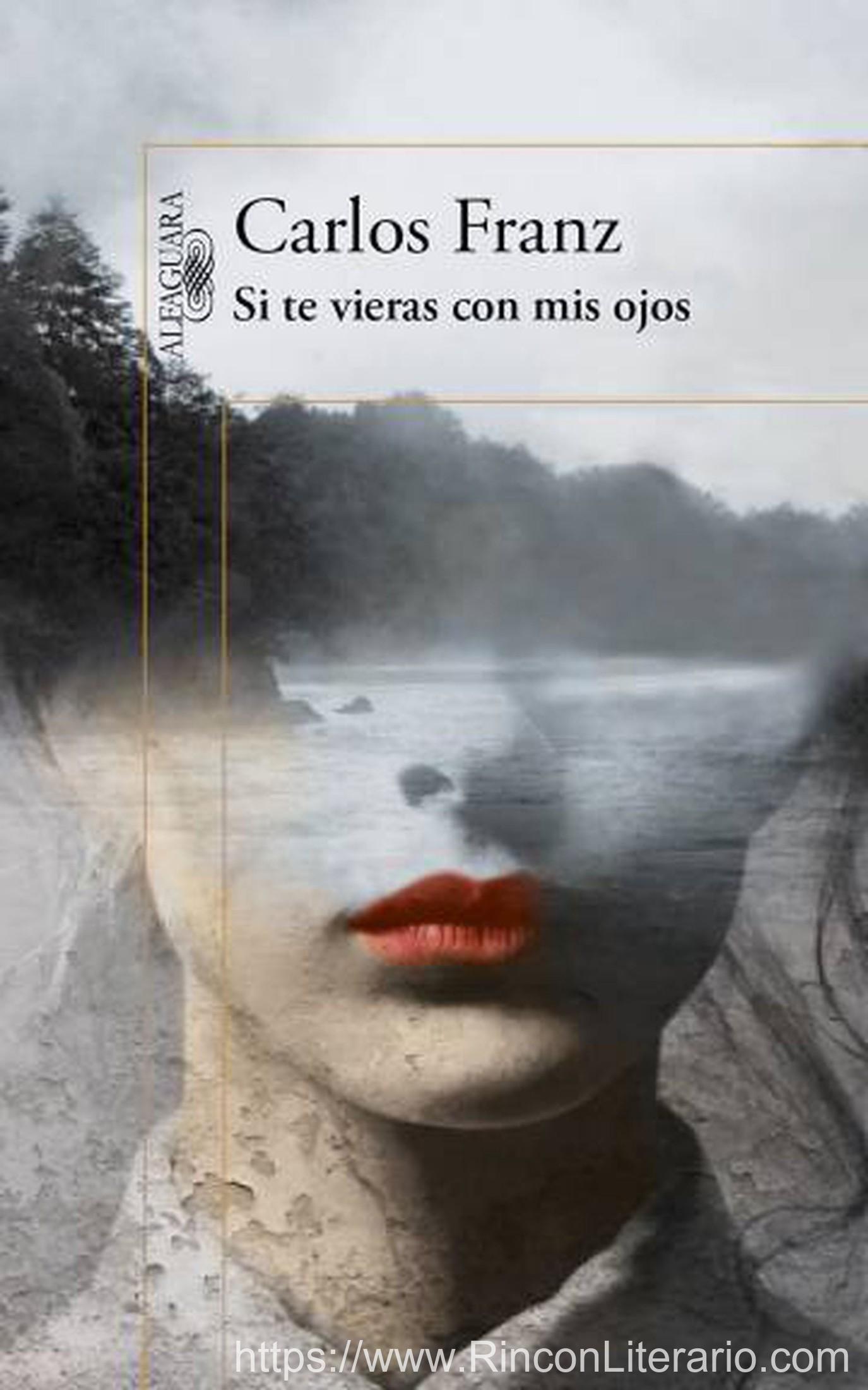 Si te vieras con mis ojos