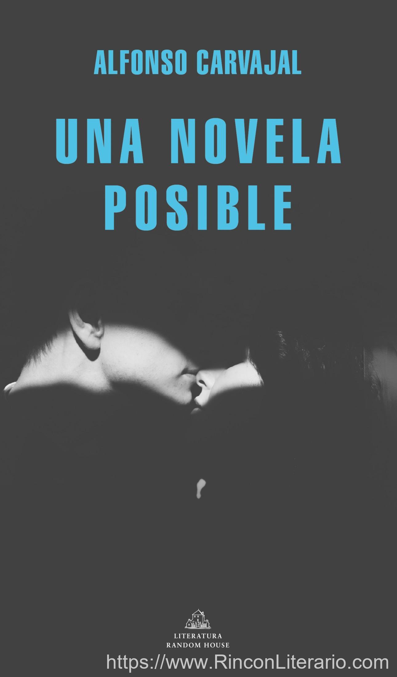 Una novela posible